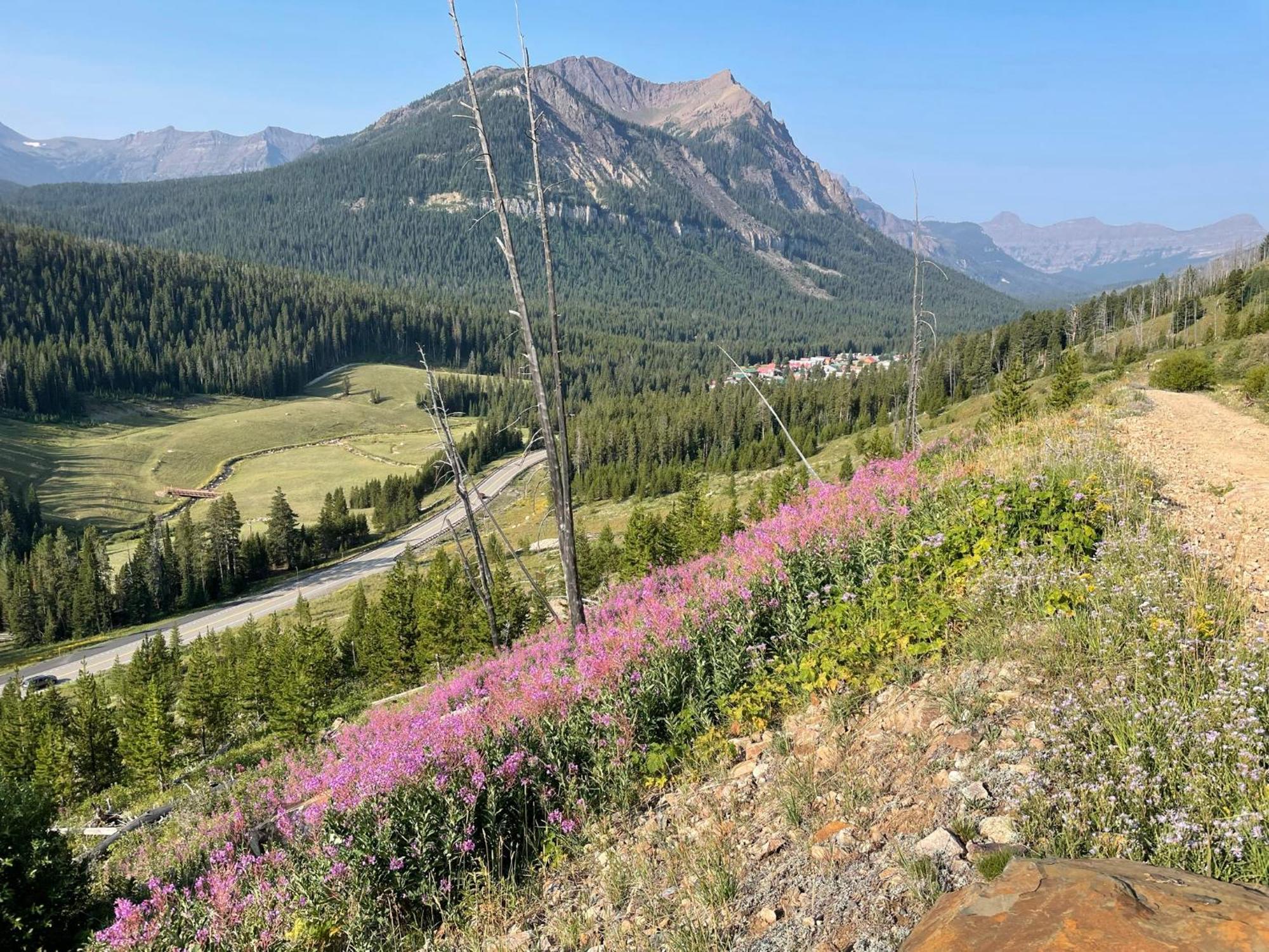 Antlers Lodge Cooke City Buitenkant foto