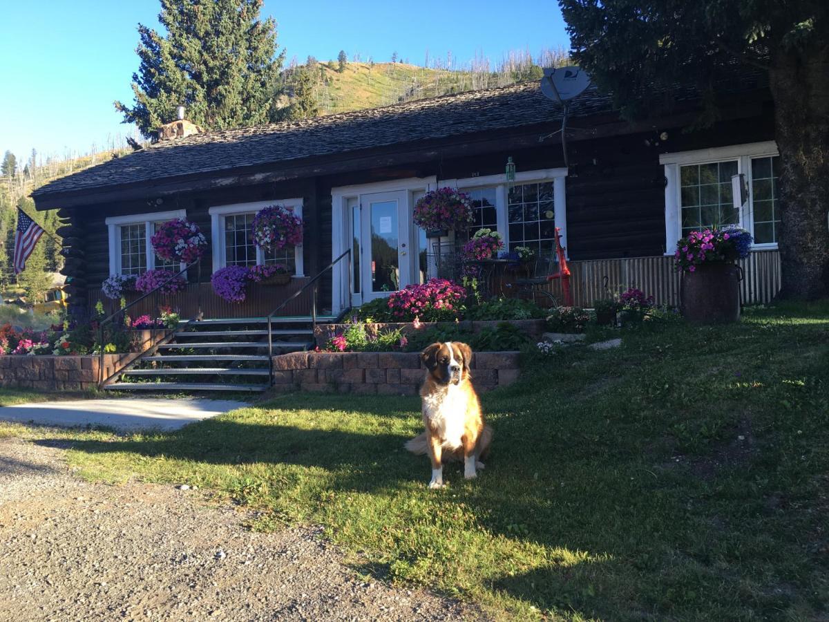 Antlers Lodge Cooke City Buitenkant foto