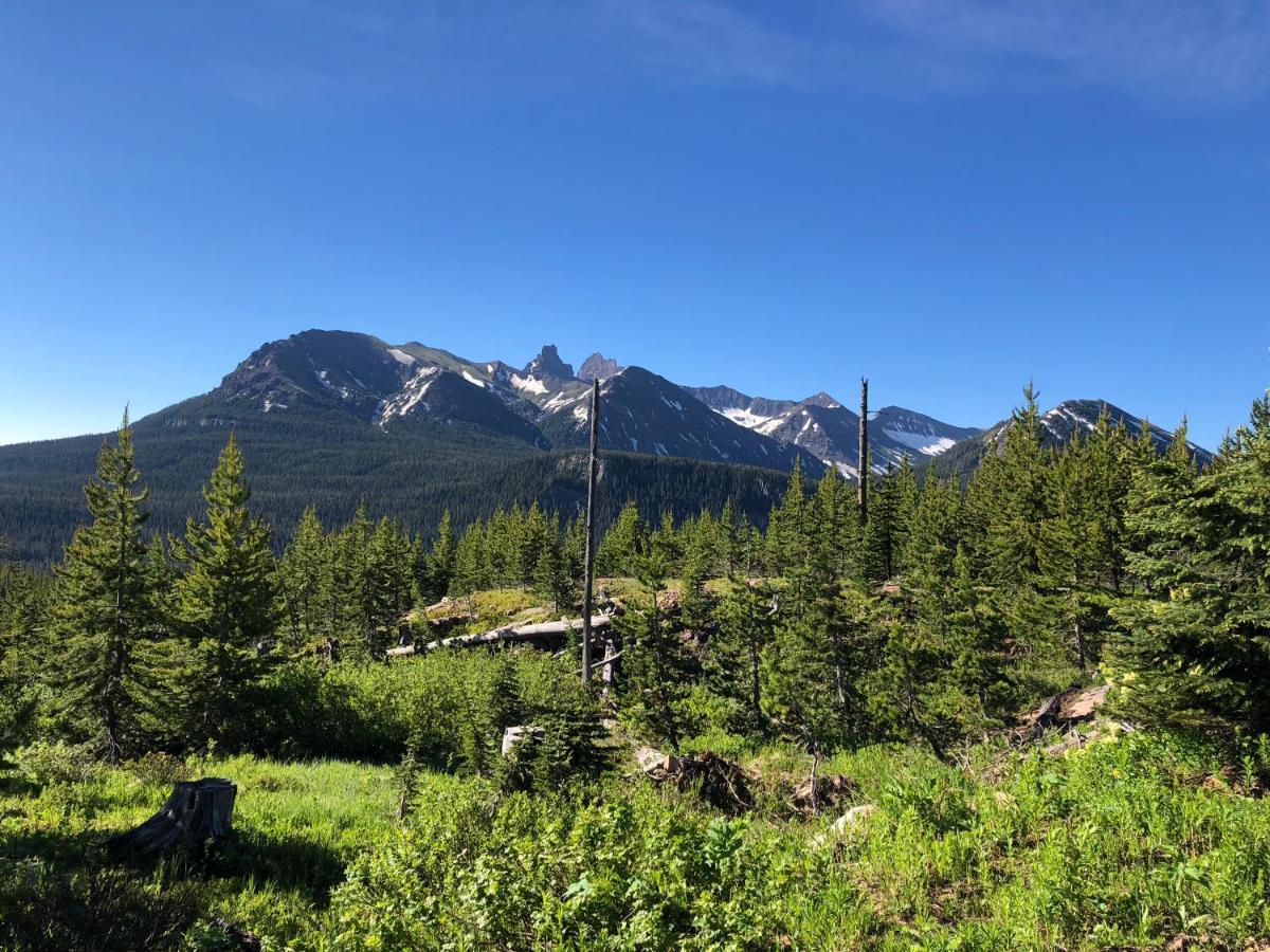 Antlers Lodge Cooke City Buitenkant foto